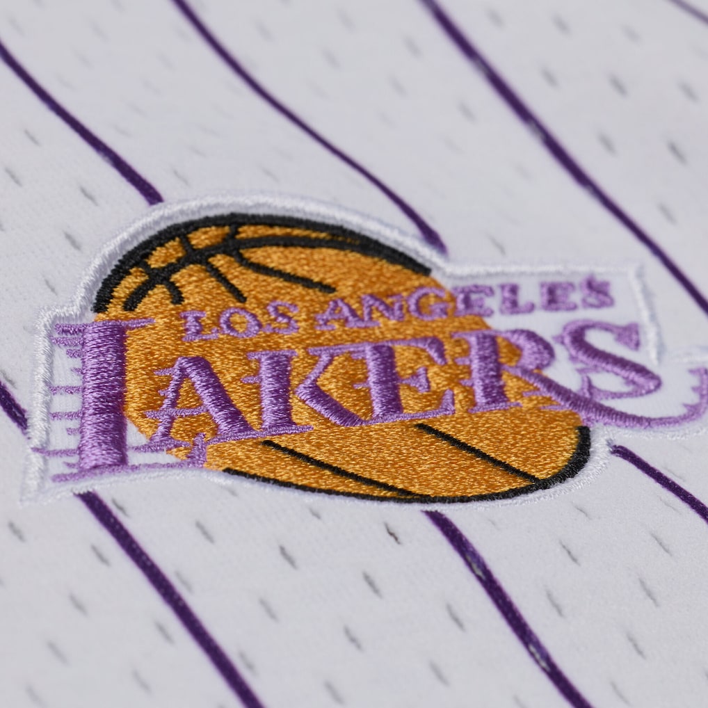 Men's Los Angeles Lakers Mitchell & Ness White Head Coach Pinstripe Mesh Full-Button Baseball Jersey