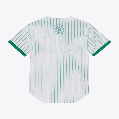 Men's Boston Celtics Mitchell & Ness White Head Coach Pinstripe Mesh Full-Button Baseball Jersey