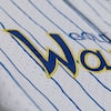 Men's Golden State Warriors Mitchell & Ness White Head Coach Pinstripe Mesh Full-Button Baseball Jersey