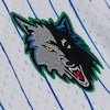 Men's Minnesota Timberwolves Mitchell & Ness White Head Coach Pinstripe Mesh Full-Button Baseball Jersey